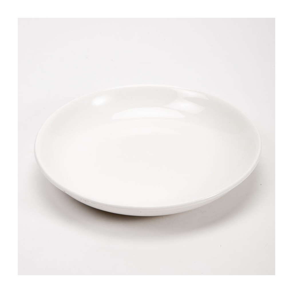 PLATO PORCELANA 10" REDONDO