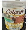 COLOREAL DURABLE IMPERFRIO VERD 1G CANCH