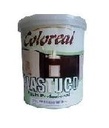 COLOREAL PASTA PROFESIONAL 1/4 GAL