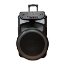 CORNETA 15" 3000W KARAOKEA-FM-UBS-BT