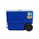 DECOCAR CAVA ICE ROLLER 40LT